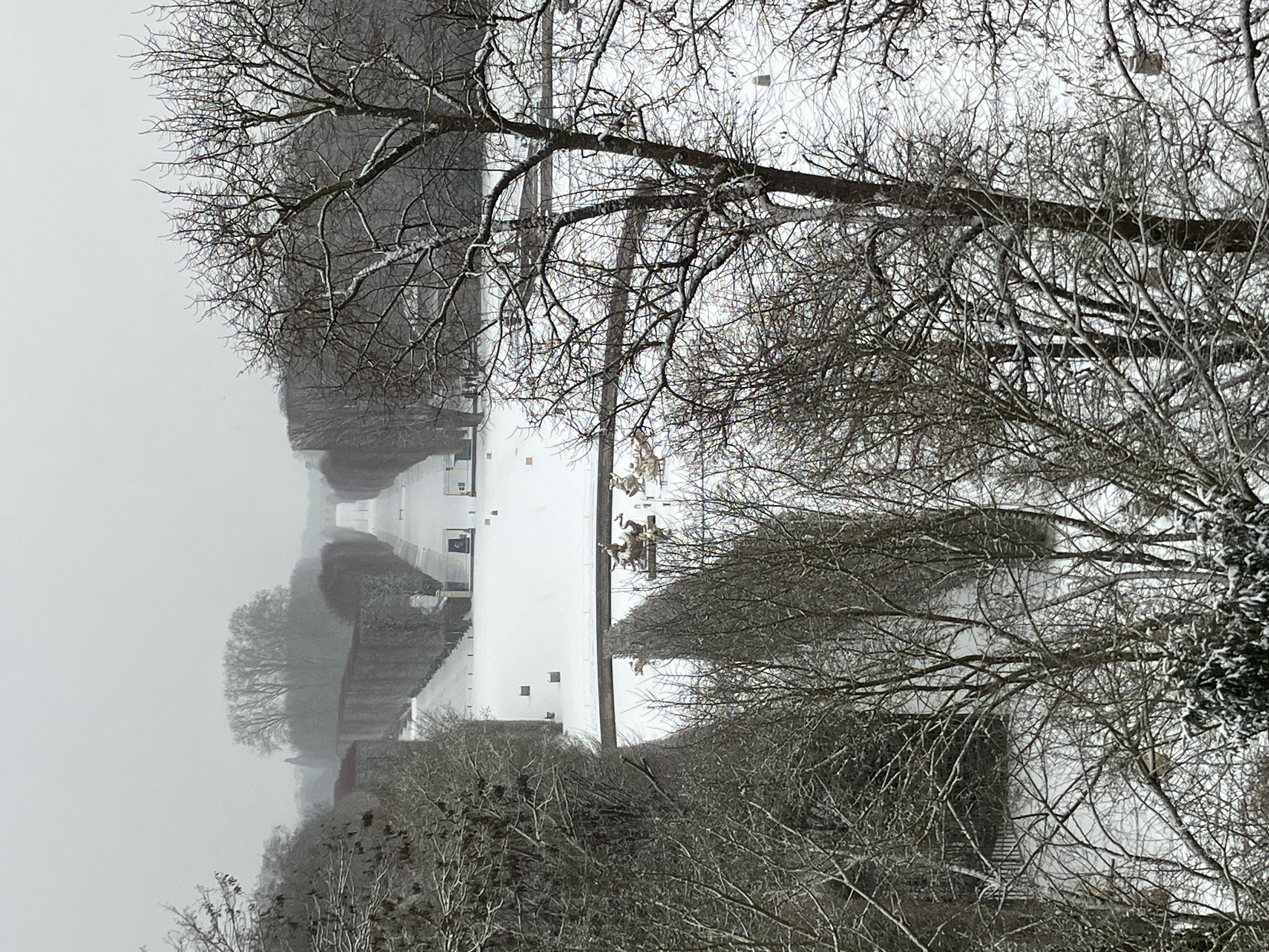 Domaine national du Château de Versailles